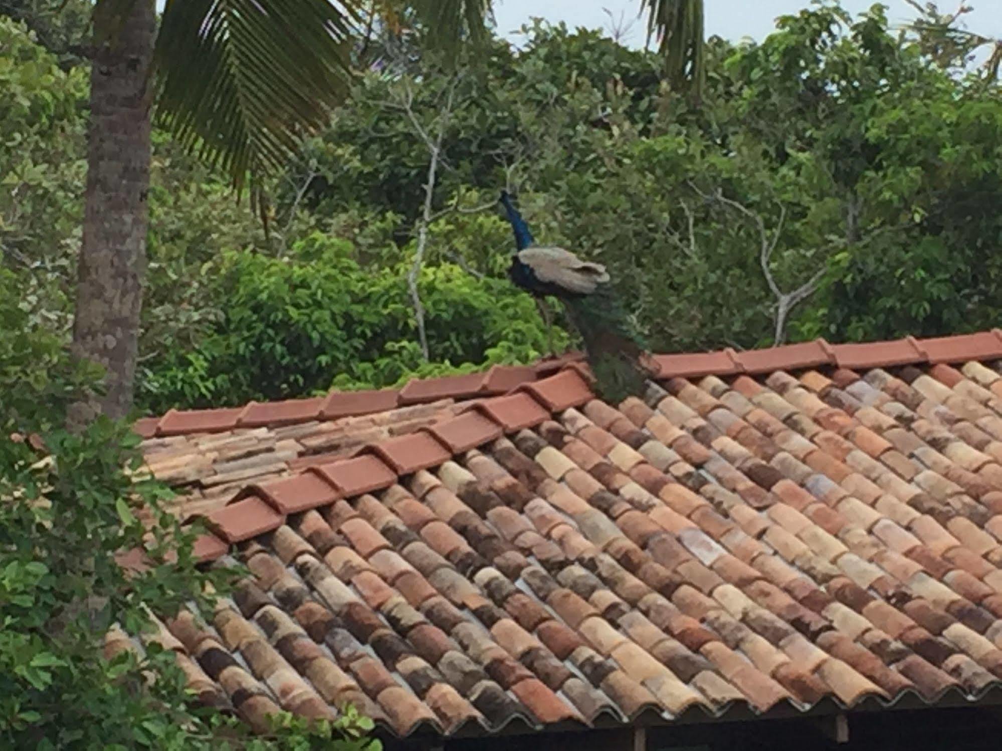 Lanka Eco Village Unawatuna Kültér fotó